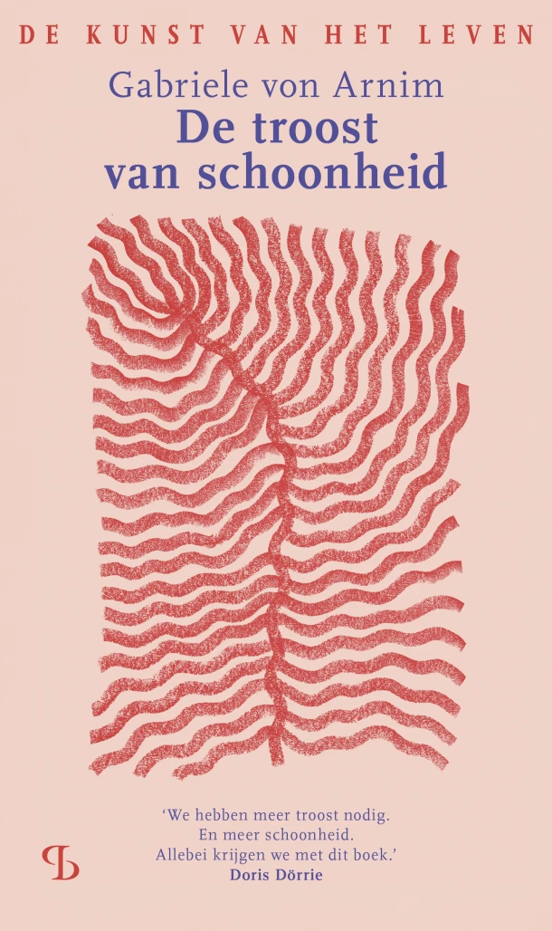De troost van schoonheid – Gabriele von Arnim – boek cover