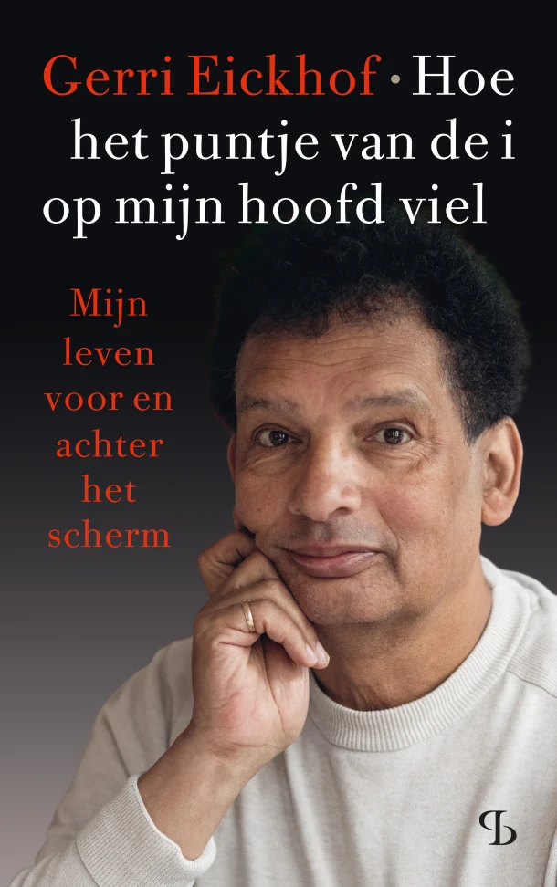 Hoe het puntje van de i op mijn hoofd viel – Gerri Eickhof – boek cover