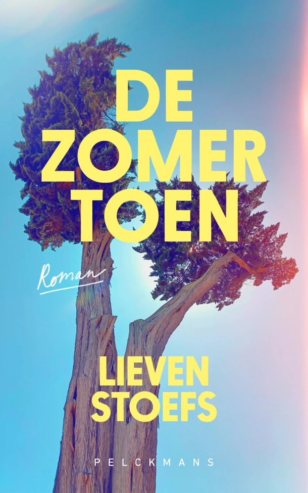 De zomer toen – Lieven Stoefs – boek cover