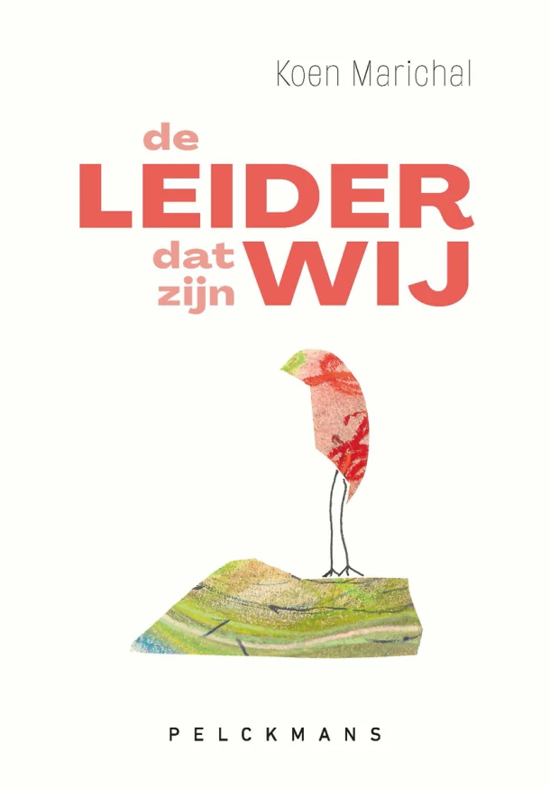 De leider. Dat zijn wij. – Koen Marichal – boek cover