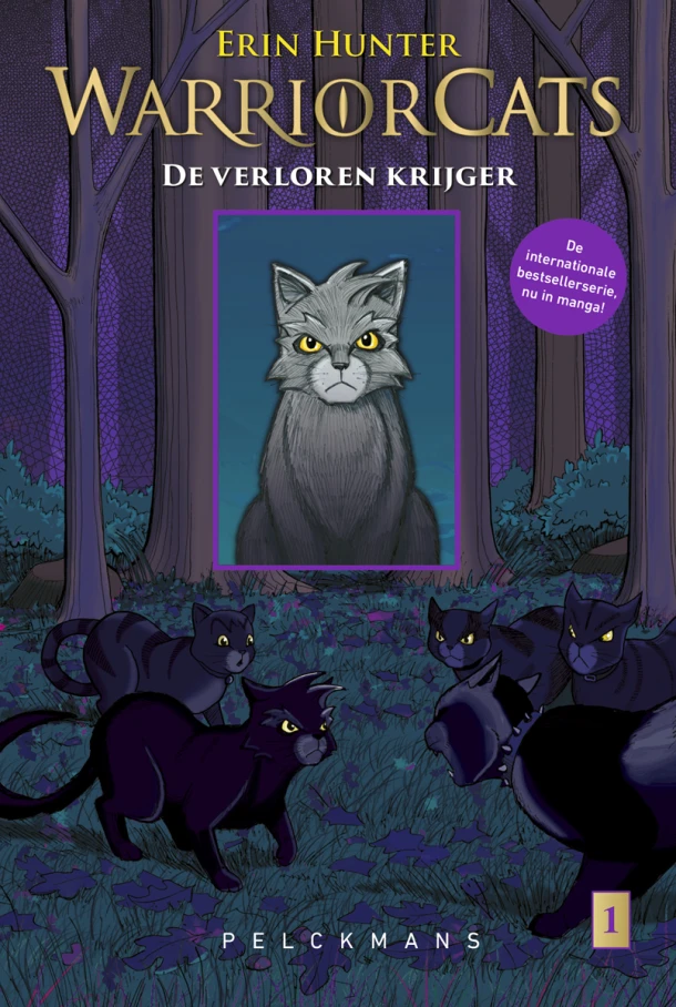 1 Grijsstreeps terugkeer – Erin Hunter – boek cover