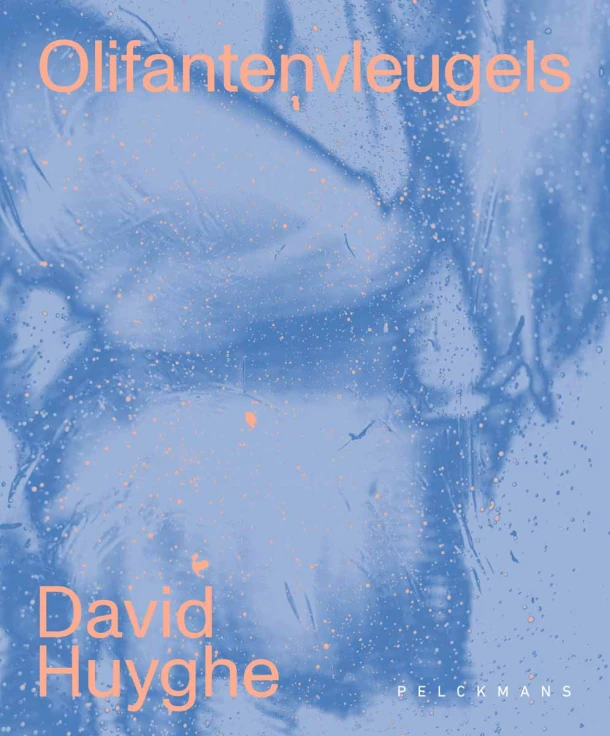 Olifantenvleugels – David Huyghe – boek cover