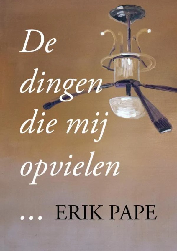 Dingen die mij opvielen – Erik Pape – boek cover