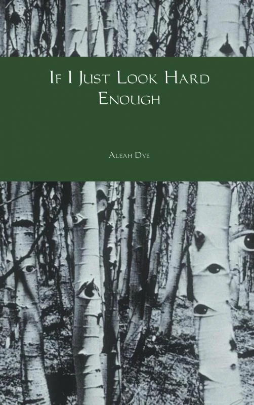 If I Just Look Hard Enough – Aleah Dye – boek cover