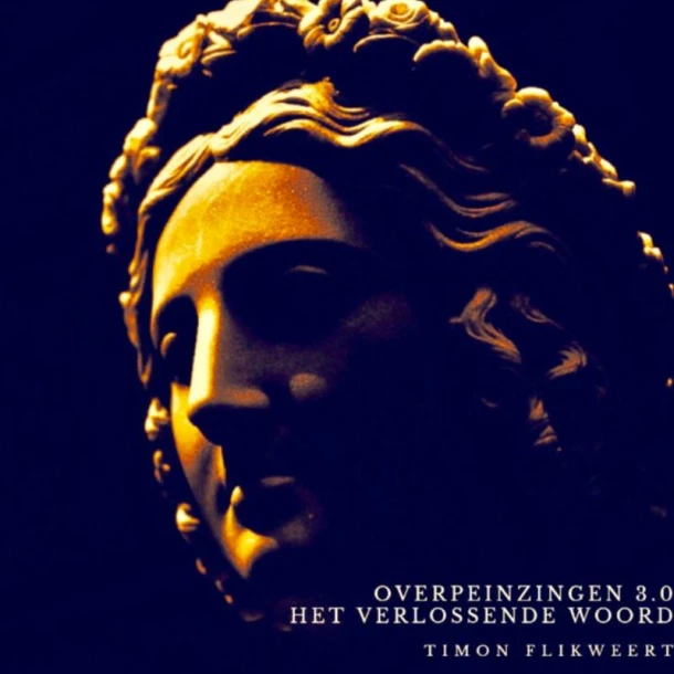 Overpeinzingen 3.0: Het Verlossende Woord – Timon Flikweert – boek cover