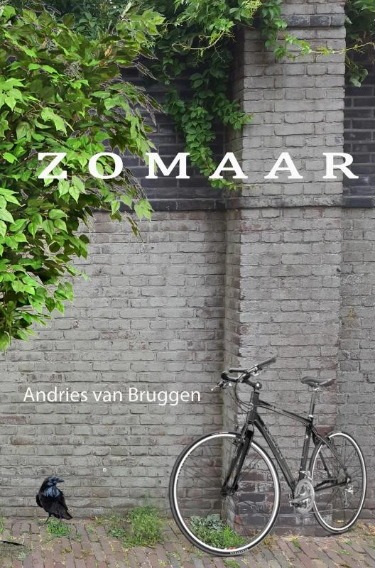 Zomaar – Andries van Bruggen – boek cover