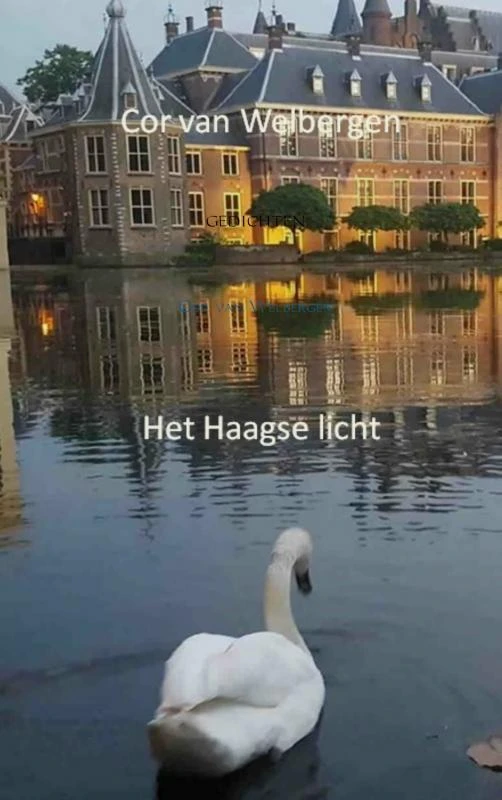 Het Haagse licht – boek cover