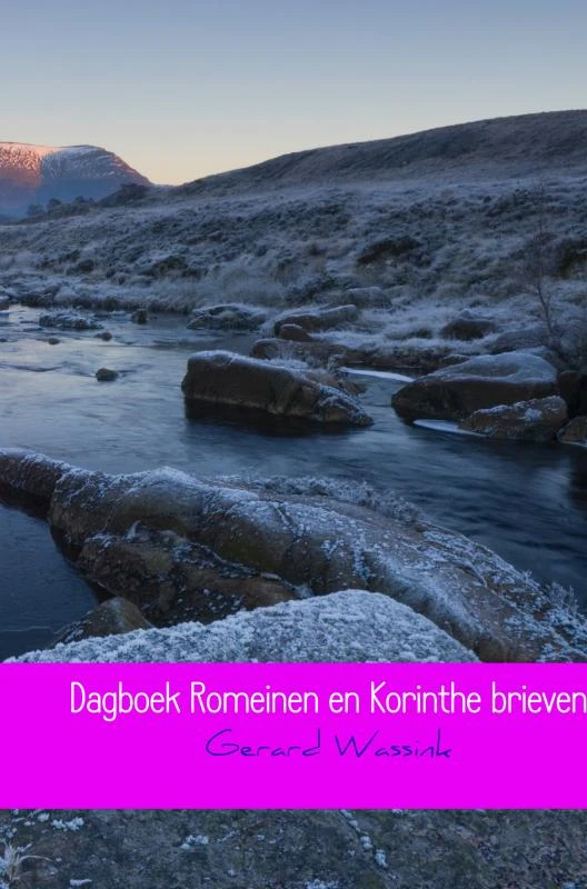 Dagboek Romeinen en Korinthe brieven – Gerard Wassink – boek cover