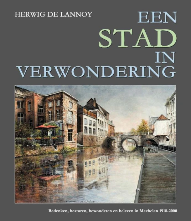 Een stad in verwondering – Herwig de Lannoy – boek cover
