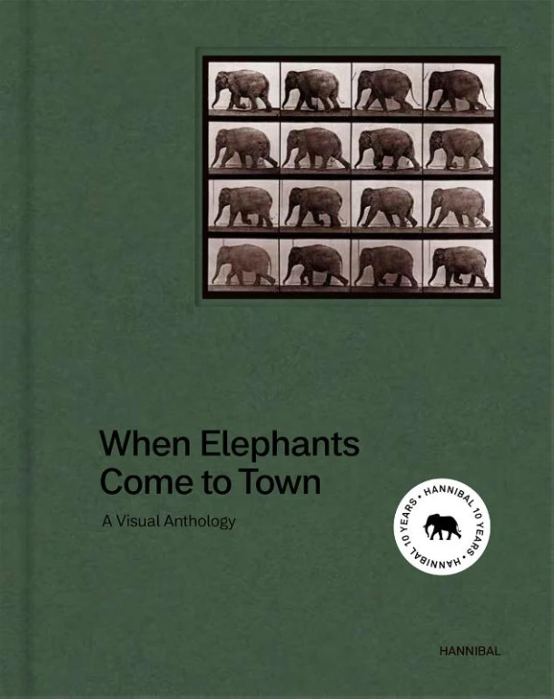 When Elephant Come to Town – James Attlee – boek cover