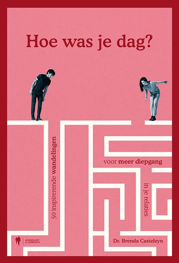Hoe was je dag ? – Brenda Casteleyn – boek cover