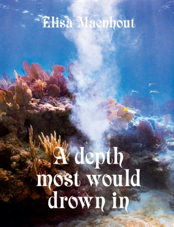 A Dept most would drown in – Elisa Maenhout – boek cover