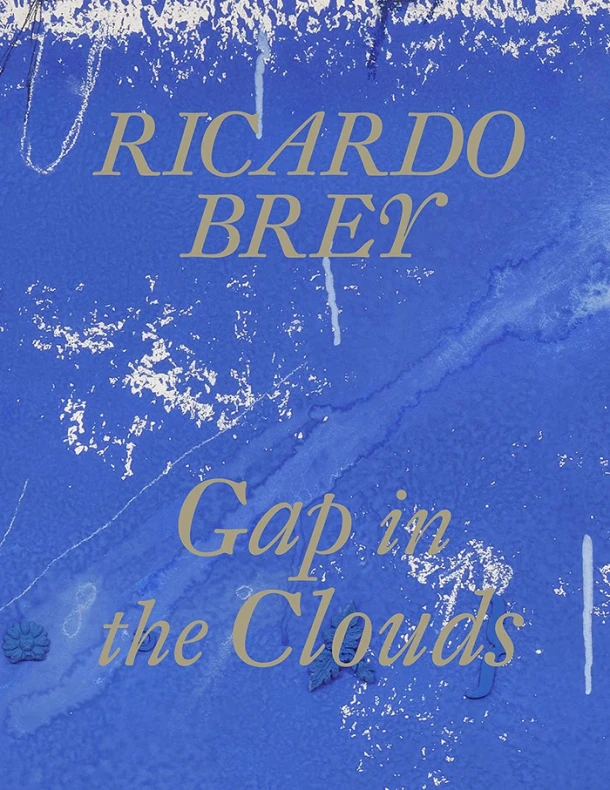 Ricardo Brey. Gap in the Clouds – Koen Leemans – boek cover