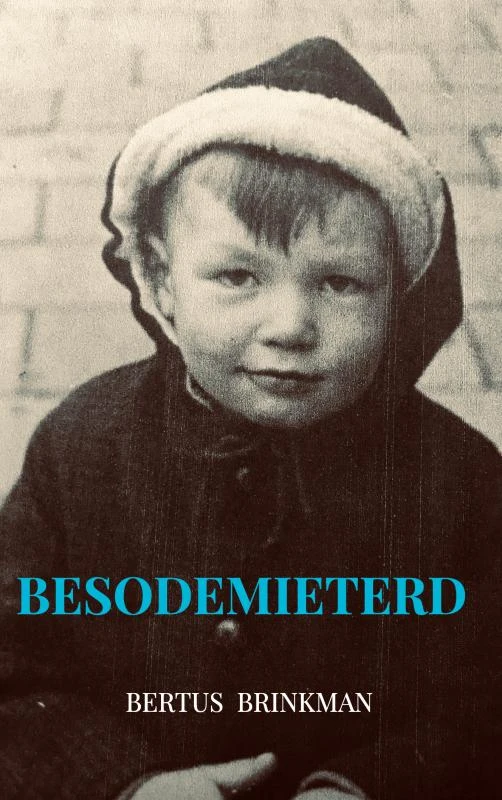 Besodemieterd – Bertus Brinkman – boek cover