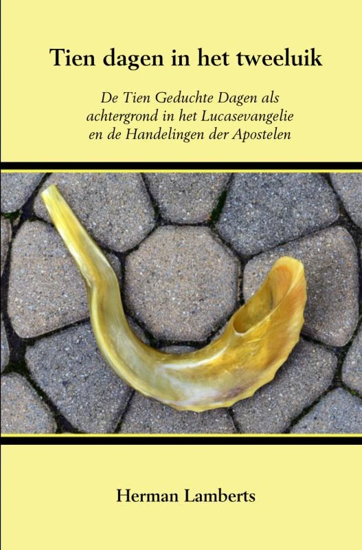 Tien dagen in het tweeluik – Herman Lamberts – boek cover