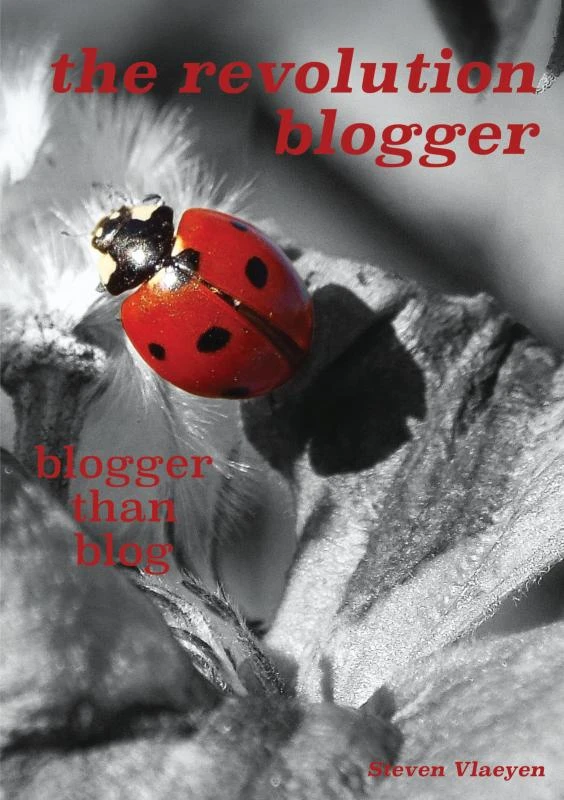 the revolution blogger – Steven Vlaeyen – boek cover