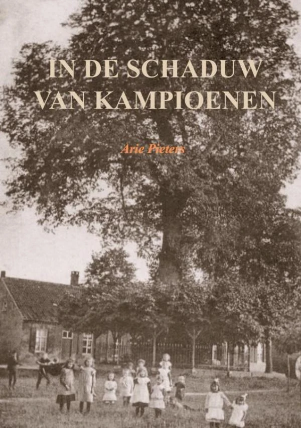 In de schaduw van kampioenen – Arie Pieters – boek cover