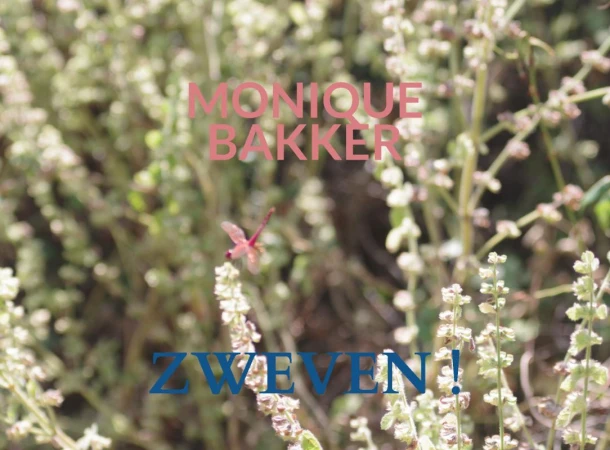 Zweven ! – Monique Bakker – boek cover