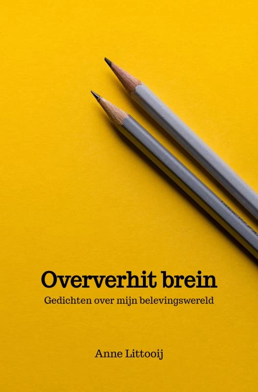 Oververhit brein – Anne Littooij – boek cover