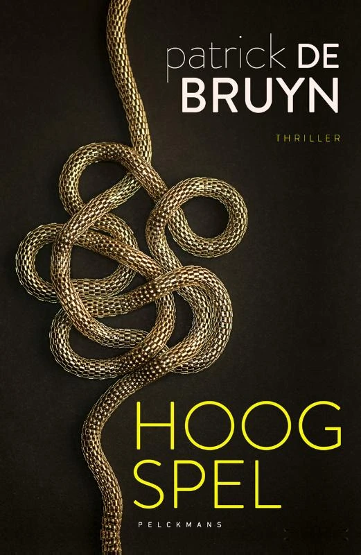 Hoog spel – Patrick De Bruyn – boek cover