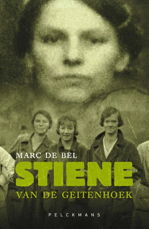 Stiene Van De Geitenhoek – boek cover