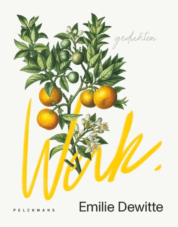 Werk – Emilie Dewitte – boek cover