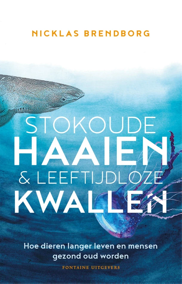 Stokoude haaien & leeftijdloze kwallen