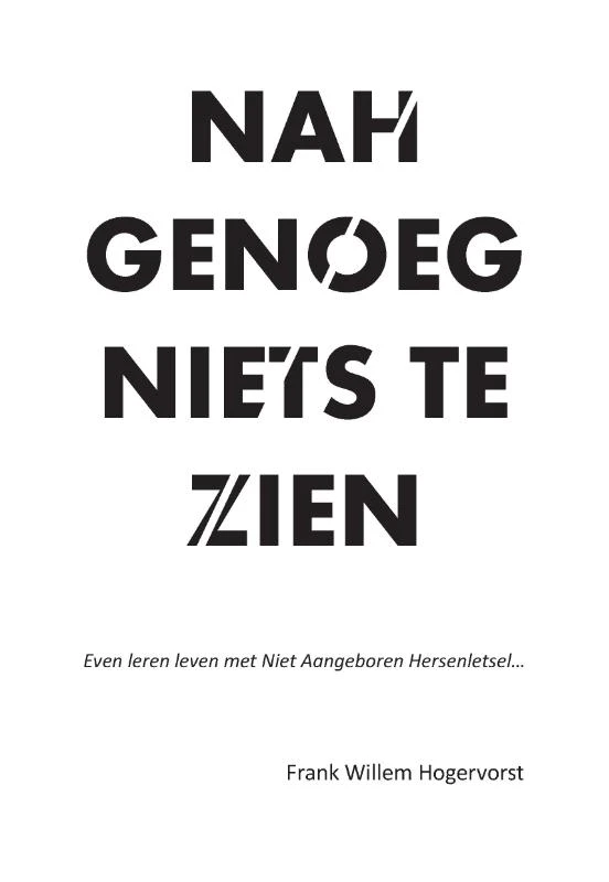 NAHgenoeg niets te zien – Frank Willem Hogervorst – boek cover