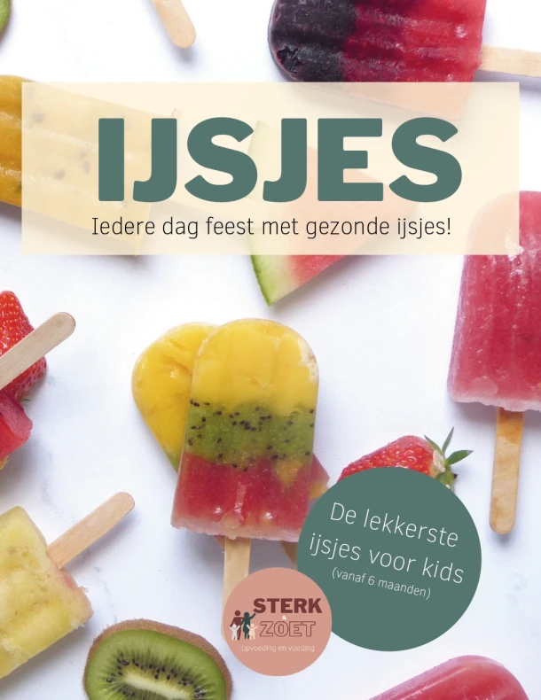 IJSJES – Iris Vernooij – boek cover