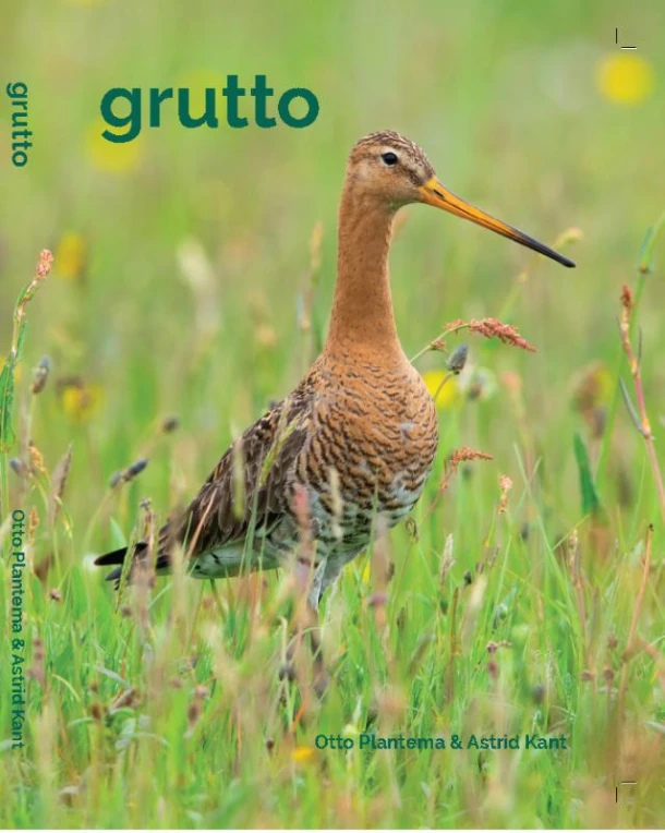 Grutto – Otto Plantema – boek cover