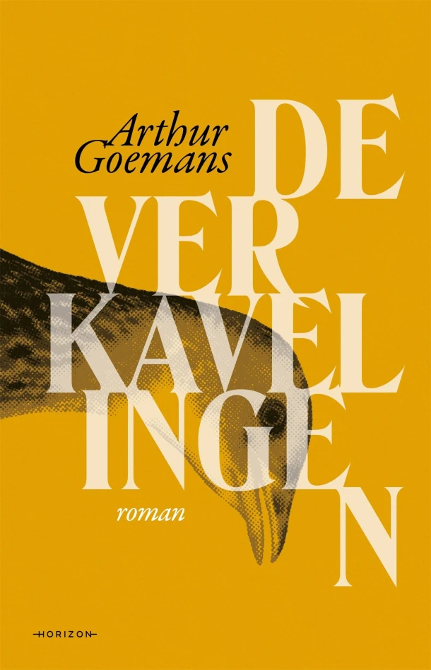 De verkavelingen – Arthur Goemans – boek cover