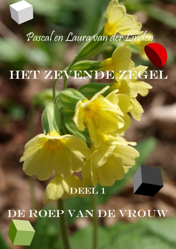 Het zevende zegel - 1 - De roep van de vrouw – Pascal en Laura van der Linden – boek cover