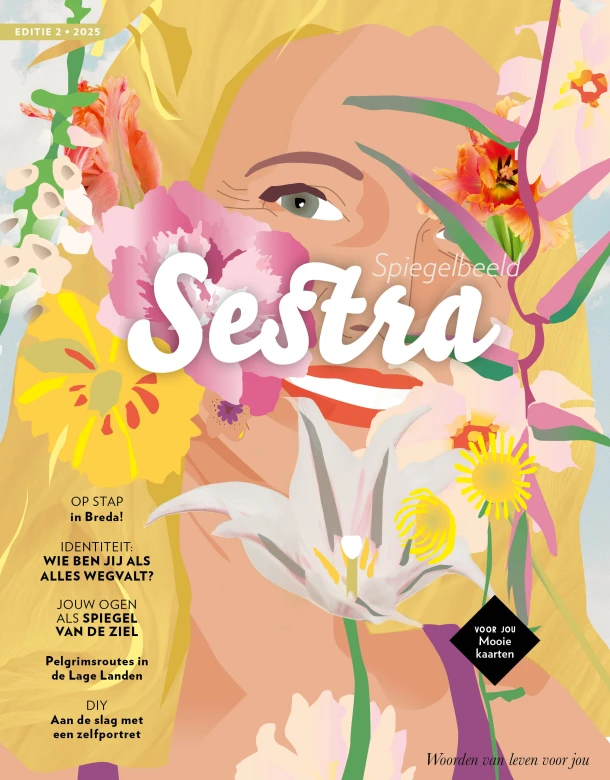 Sestra - Spiegelbeeld – boek cover