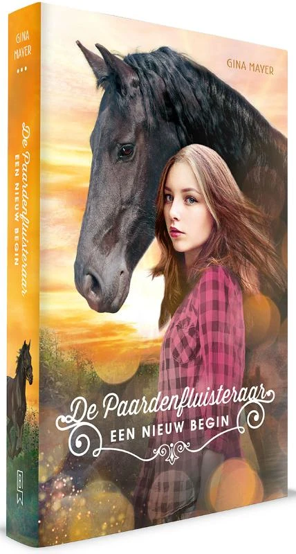 Een nieuw begin – Gina Mayer – boek cover
