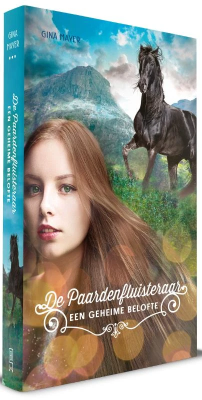 Een geheime belofte – Gina Mayer – boek cover