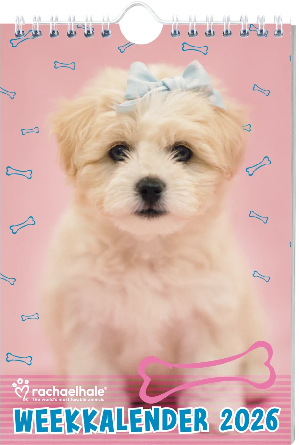 Rachael Hale Honden weekkalender 2026 – Rachael Hale – boek cover