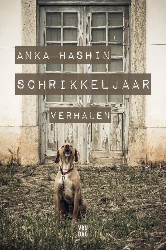 Schrikkeljaar – Anka Hashin – boek cover