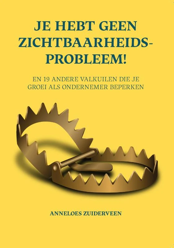 Je hebt geen zichtbaarheidsprobleem! – Anneloes Zuiderveen – boek cover