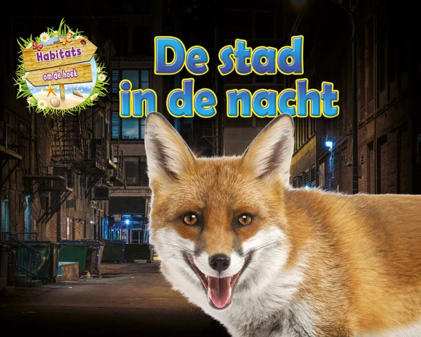 De stad in de nacht – Ruth Owen – boek cover