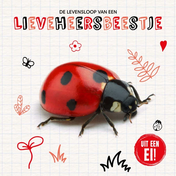De levensloop van een lieveheersbeestje – Shalini Vallepur – boek cover