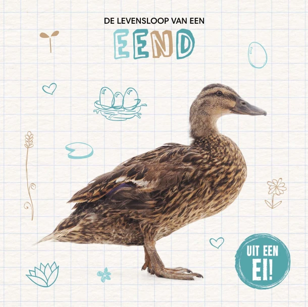 De levensloop van een eend – Shalini Vallepur – boek cover
