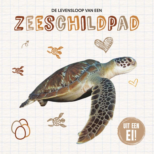 De levensloop van een zeeschildpad – Madeline Tyler – boek cover