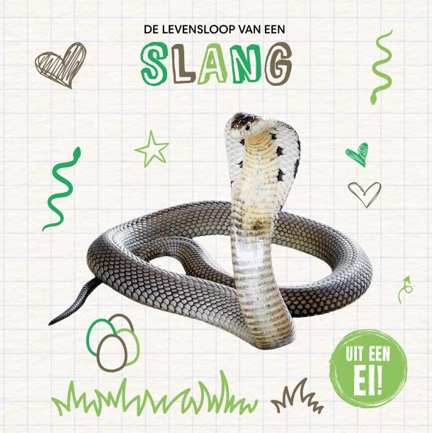De levensloop van een slang – Holly Duhig – boek cover