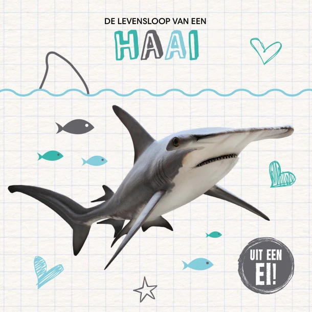 De levensloop van een haai – Holly Duhig – boek cover