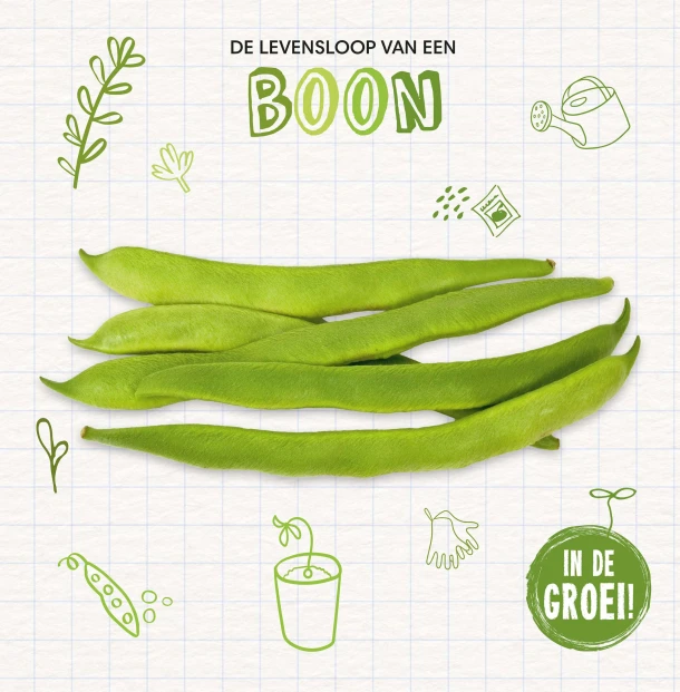Boon – Kirsty Holmes – boek cover