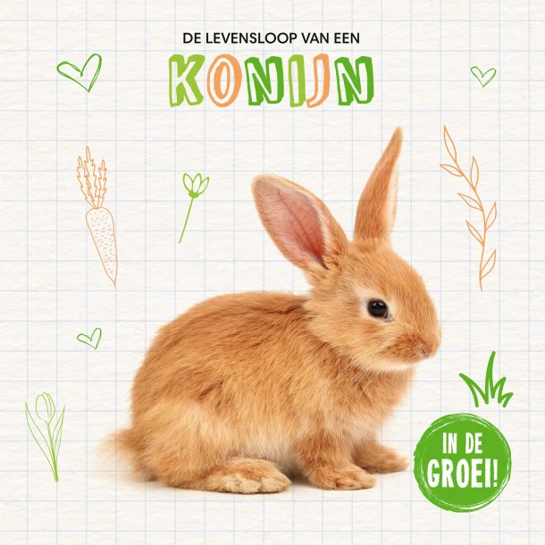 Konijn – Shalini Vallepur – boek cover