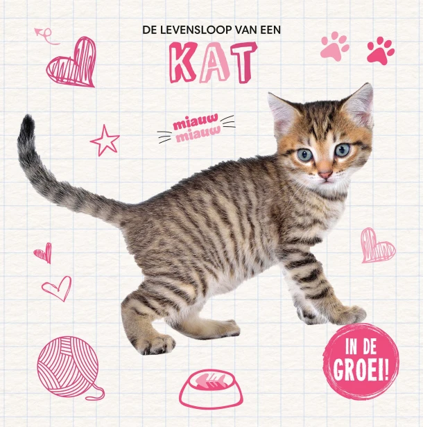 Kat – Holly Duhig – boek cover