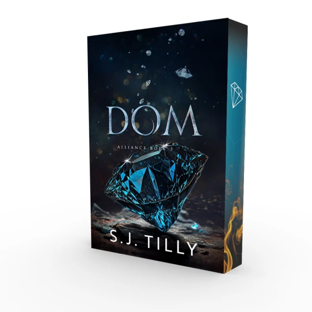 Dom – S.J. Tilly – boek cover