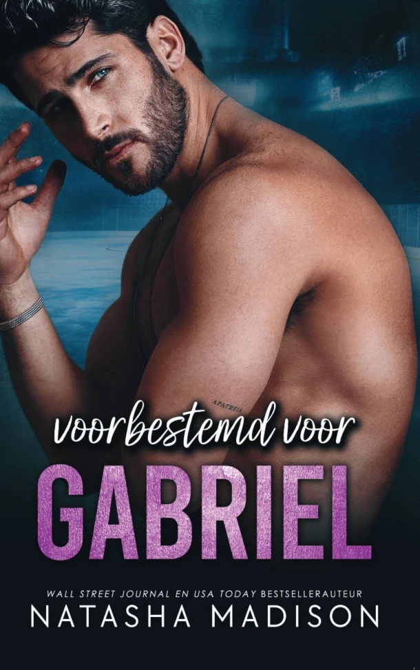Voorbestemd voor Gabriel – Natasha Madison – boek cover