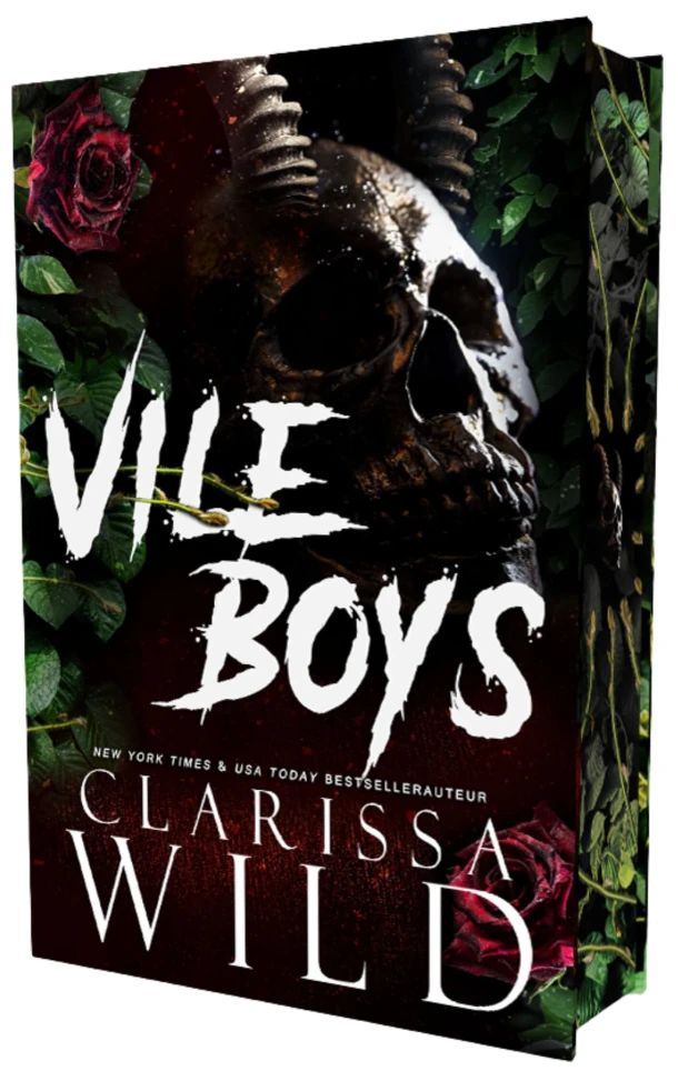 Vile boys – Clarissa Wild – boek cover